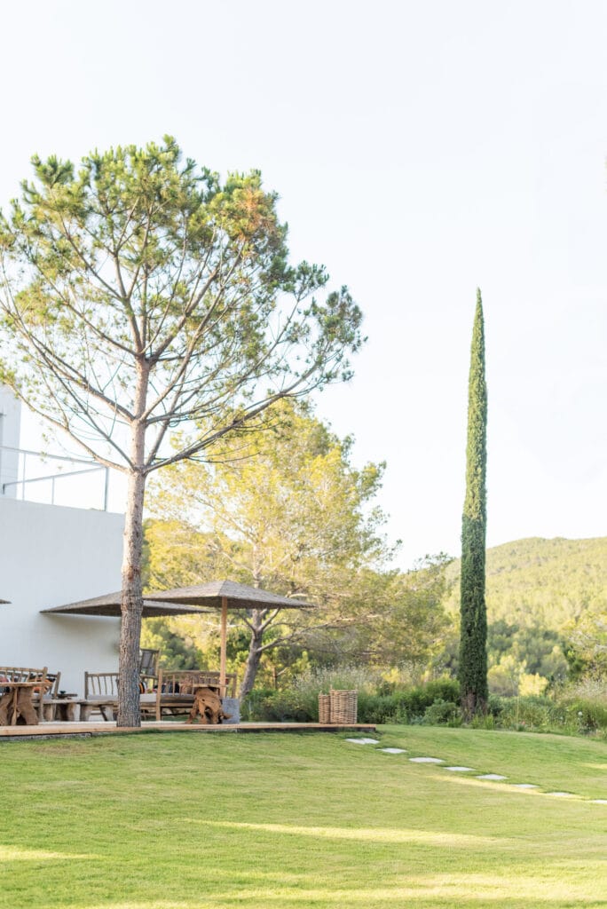 Terravita Ibiza Landscape Design Architecture Cala Jondal Garden 4