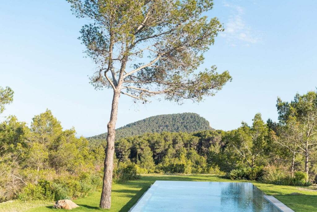 Terravita Ibiza Landscape Design Architecture Cala Jondal Garden Swimming Pool Nature
