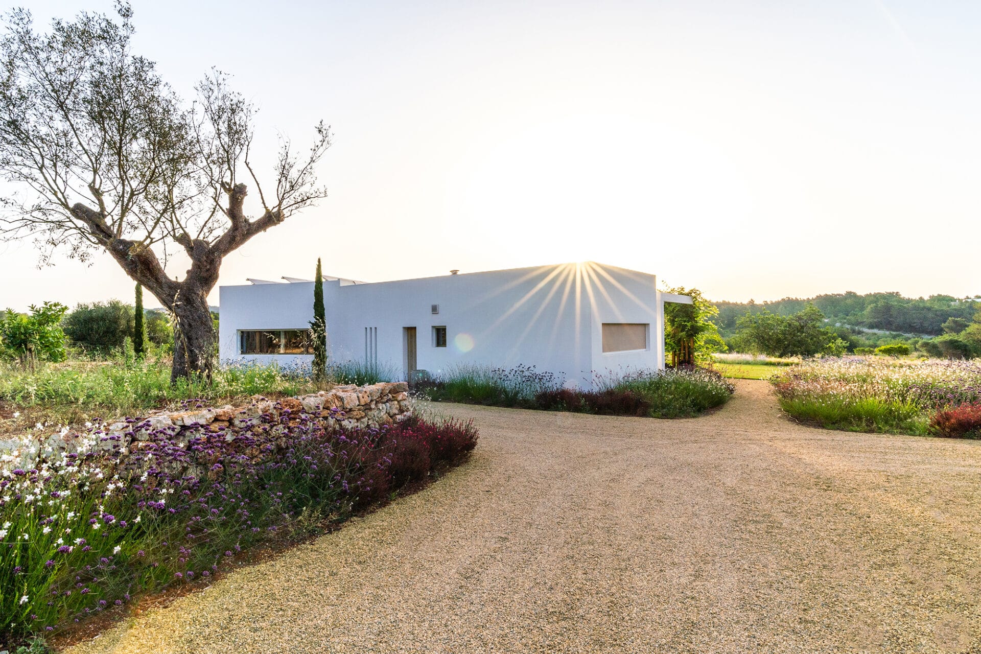 Terravita Ibiza Landscape Design Architecture Can Tanca Zero Carbon House 7