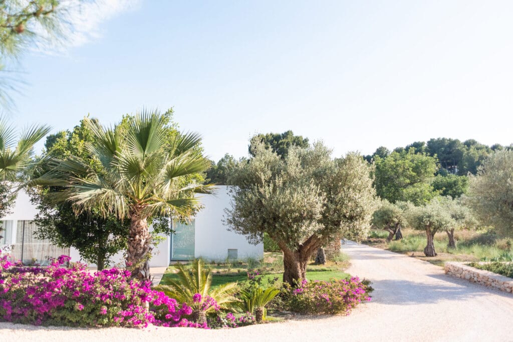 Terravita Ibiza Landscape Design Architecture Na Xica Front Entrance