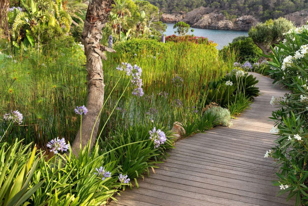 Terravita Ibiza Landscape Design Architecture Sa Ferradura Boardwalk Water Garden