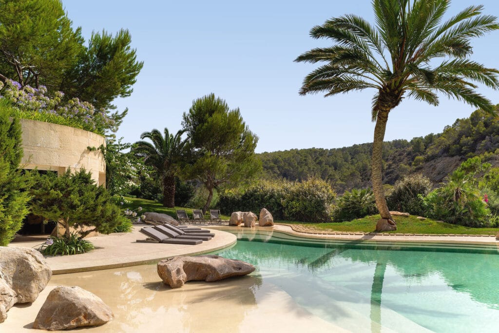Terravita Ibiza Landscape Design Architecture Sa Ferradura Swimming Pool Palm Tree