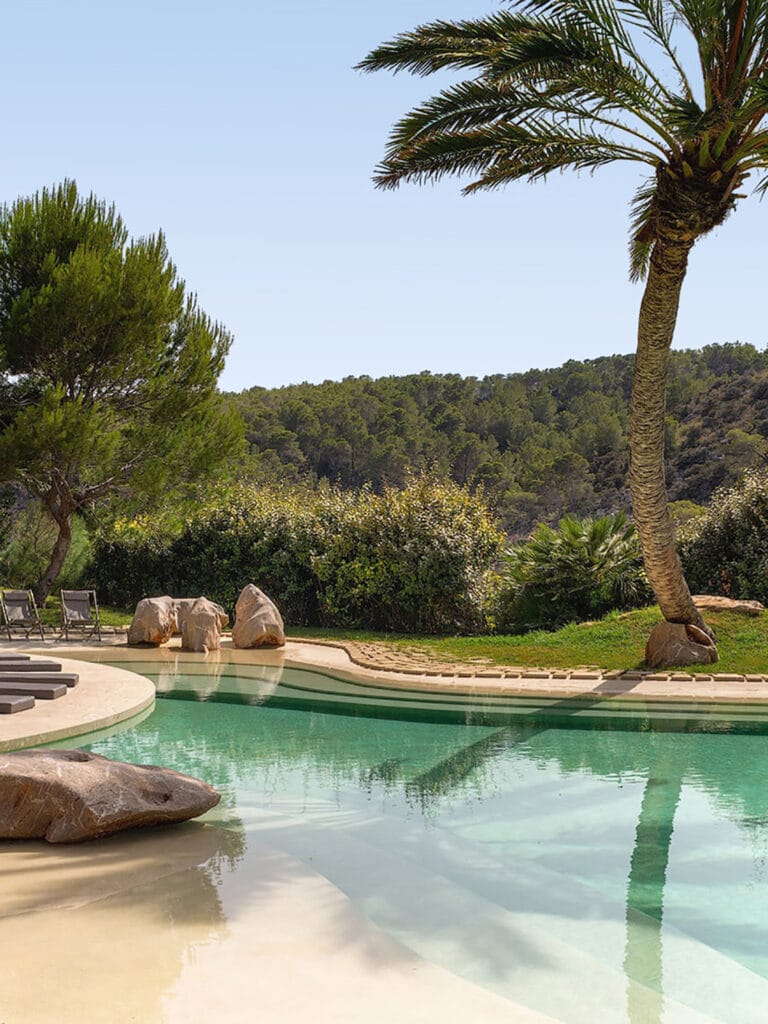 Terravita Ibiza Landscape Design Architecture Sa Ferradura Swimming Pool Palm Tree Gallery