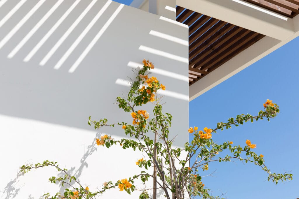 Terravita Ibiza Can Starla Architecture 01