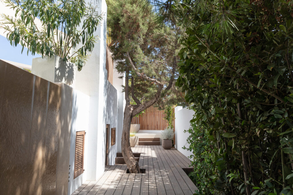 Terravita Ibiza Garden Design Can Mar Feature Wall