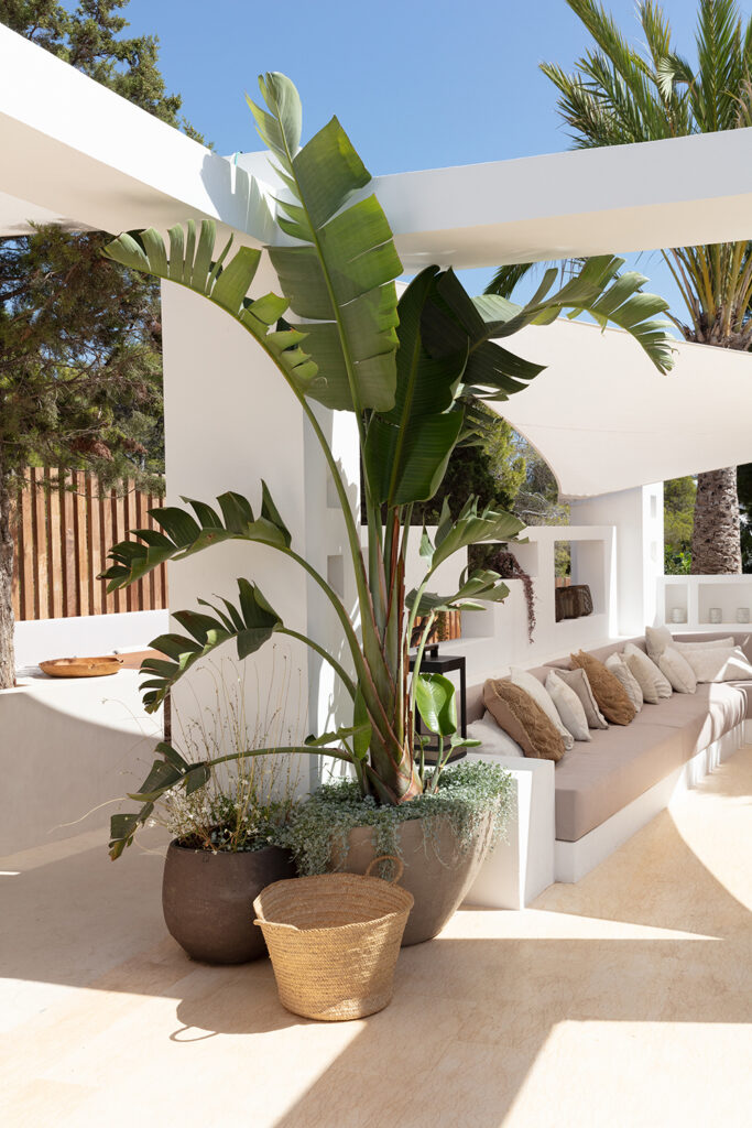 Terravita Ibiza Garden Design Can Mar Luxury Outdoor Living Space