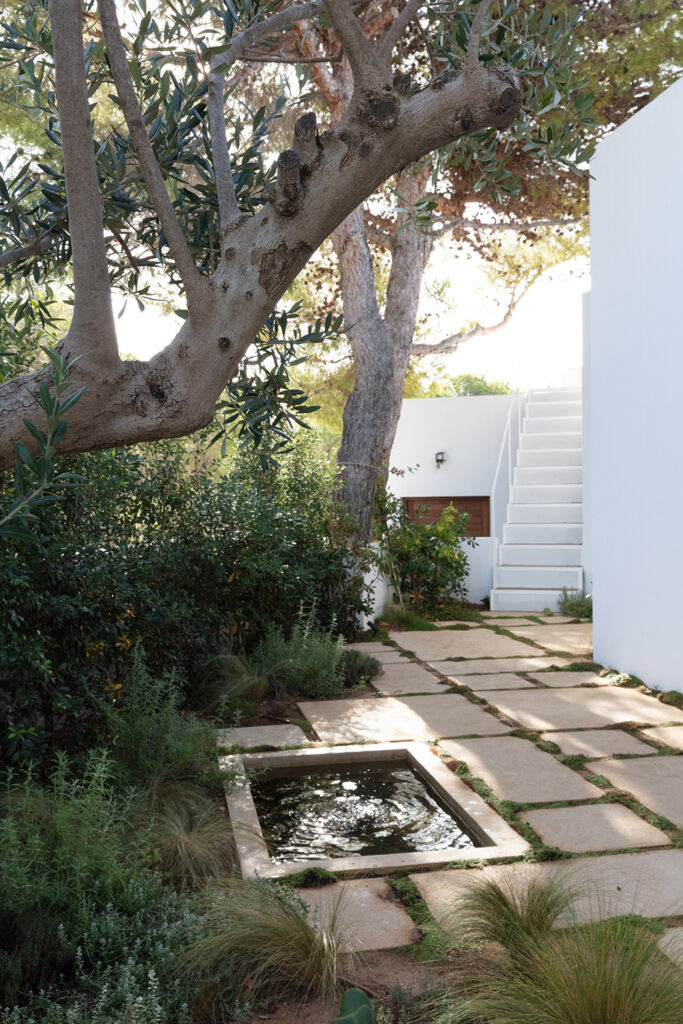 Terravita Ibiza Garden Design Pond 01