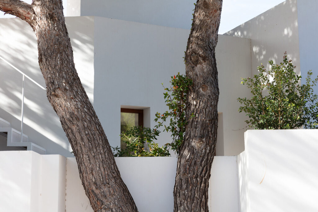 Terravita Ibiza Landscape Architecture Tree Wall