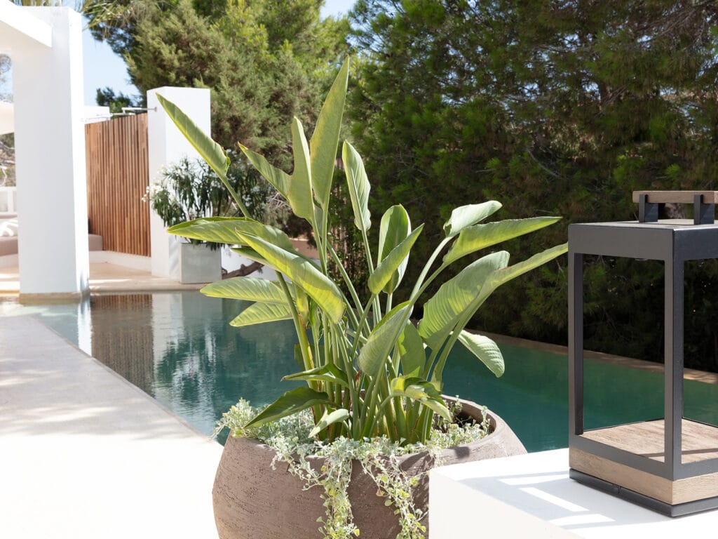 Terravita Ibiza Landscape Design Architecture Can Mar Garden Terrace Crop