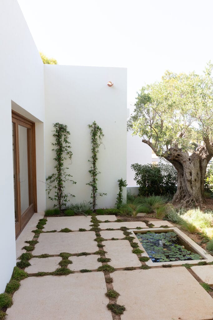 Terravita Ibiza Landscape Design Architecture Can Mar Olive Garden Water Feature