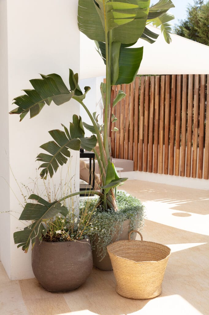 Terravita Ibiza Landscape Design Architecture Can Mar Outdoor Living Garden Terrace Palm