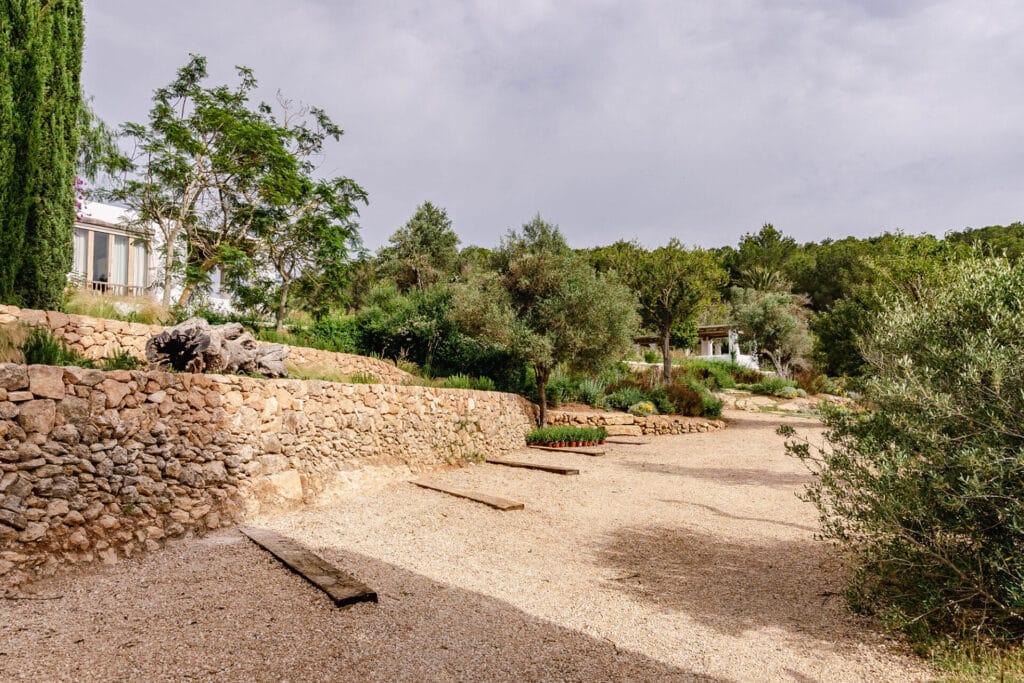 Terravita Ibiza Landscape Design Architecture Can Miguel Cosmi Driveway