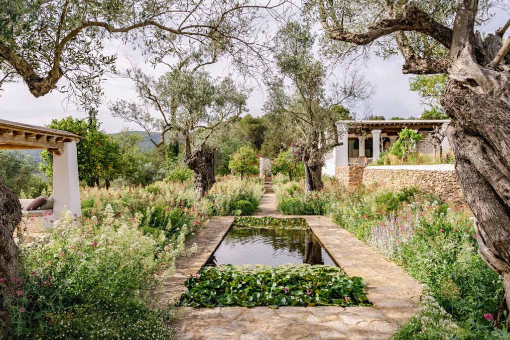 Terravita Ibiza Landscape Design Architecture Can Miguel Cosmi Garden Lily Pond