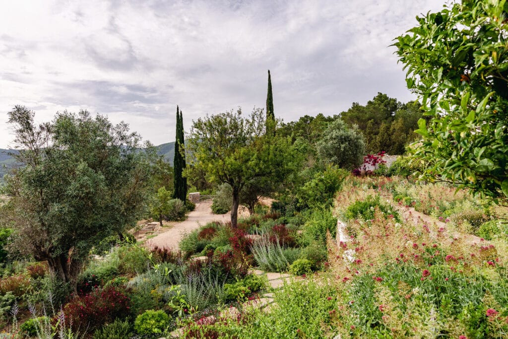 Terravita Ibiza Landscape Design Architecture Can Miguel Cosmi Mediterranean Garden