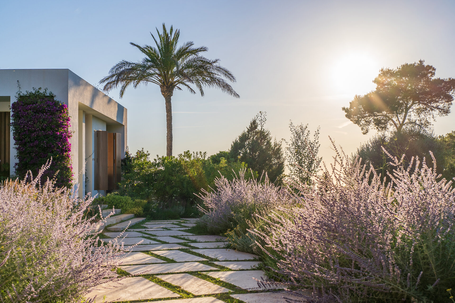 Terravita Ibiza Garden Design Can Arabi Palm Tree