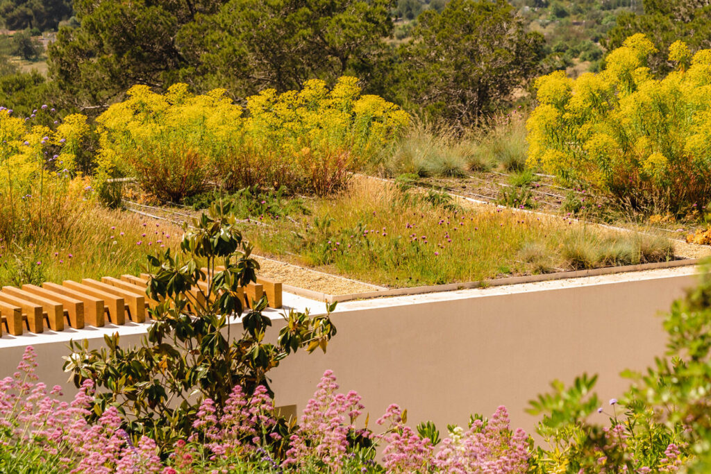 Terravita Ibiza Garden Design Can Arabi Roof 2