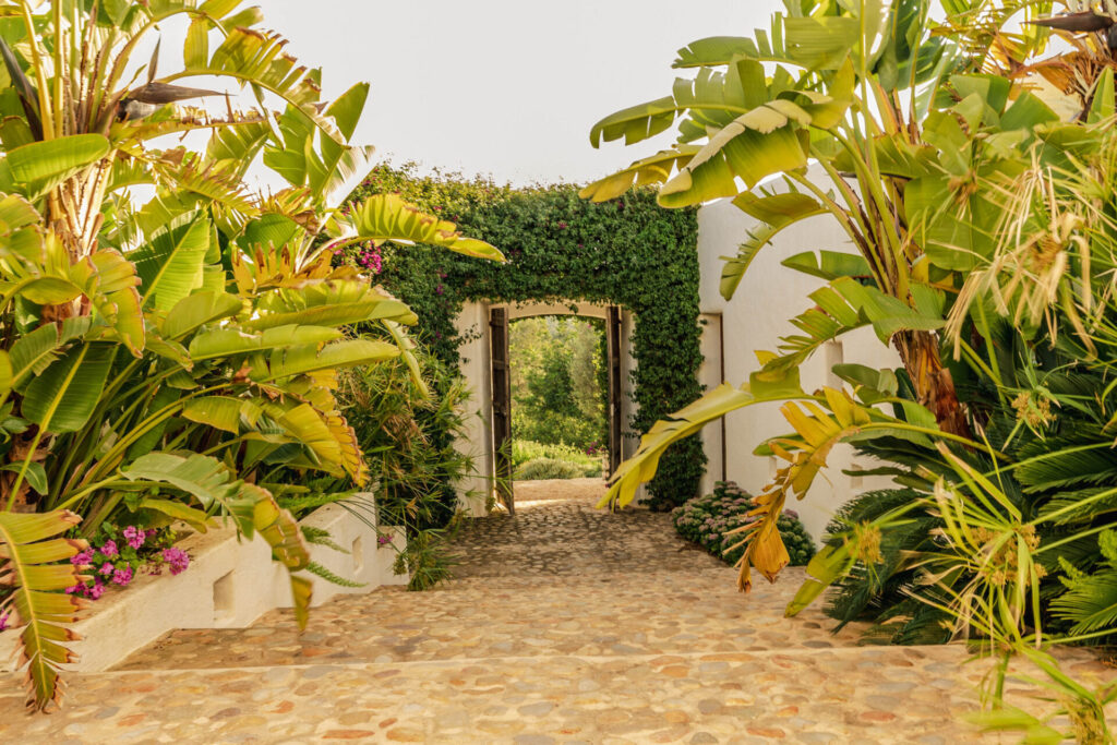 Terravita Ibiza Garden Design Can Refila 005