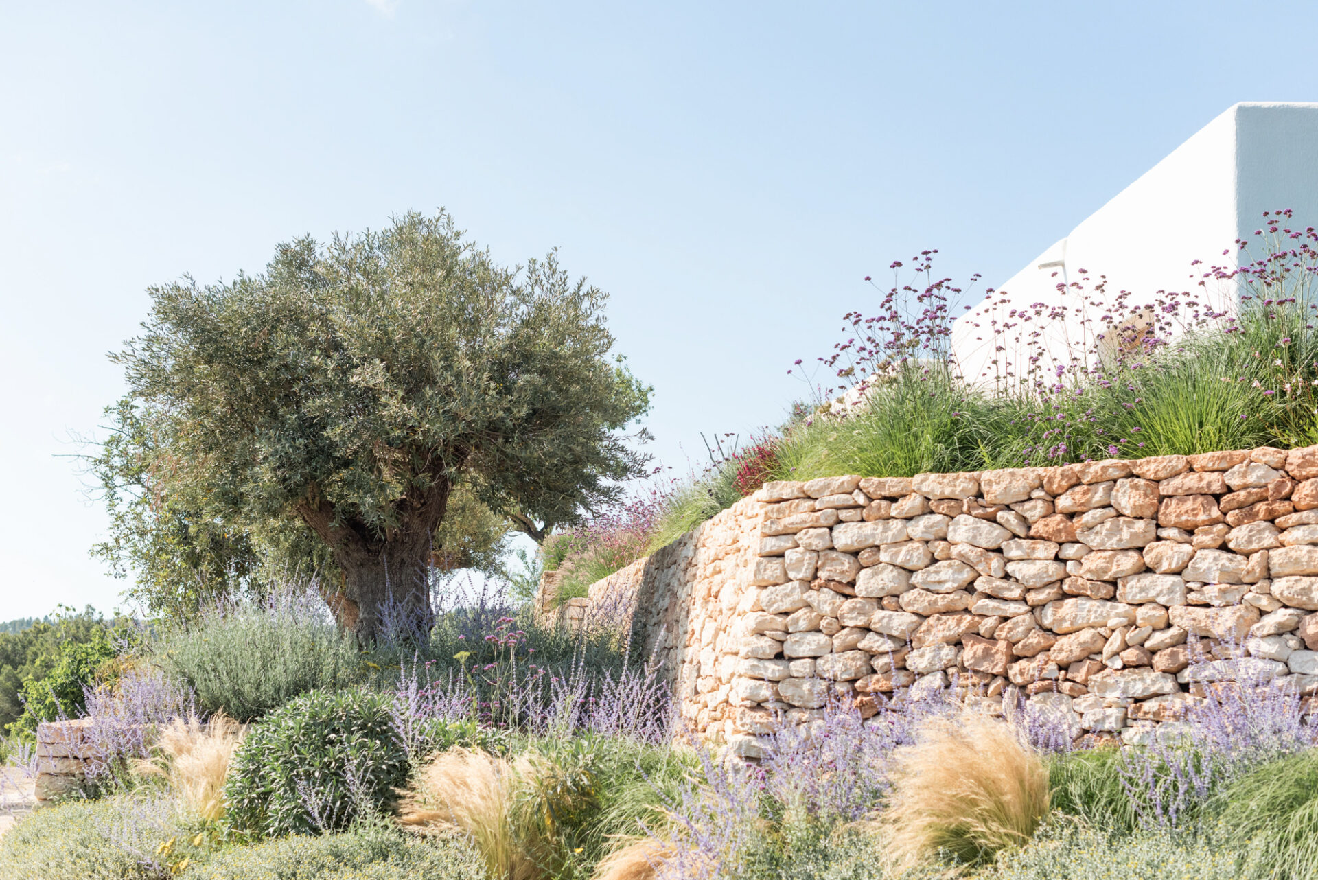 Terravita Ibiza Garden Design Can Refila 018