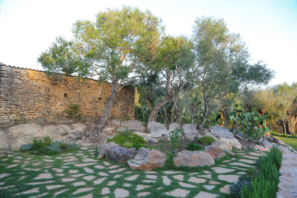Terravita Ibiza Garden Design Can Refila 028