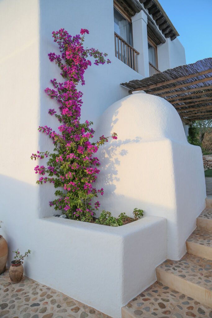 Terravita Ibiza Garden Design Can Refila 029