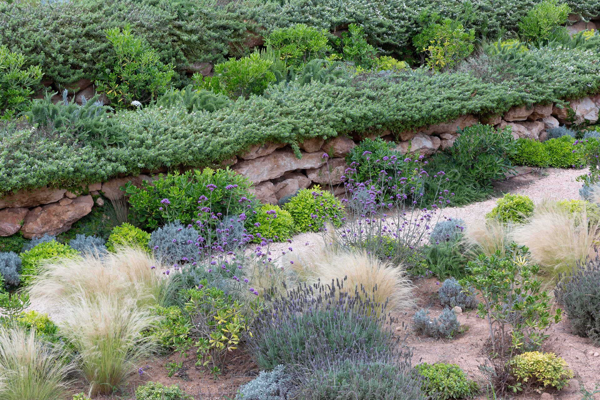 Terravita Ibiza Garden Design Can Starla 11