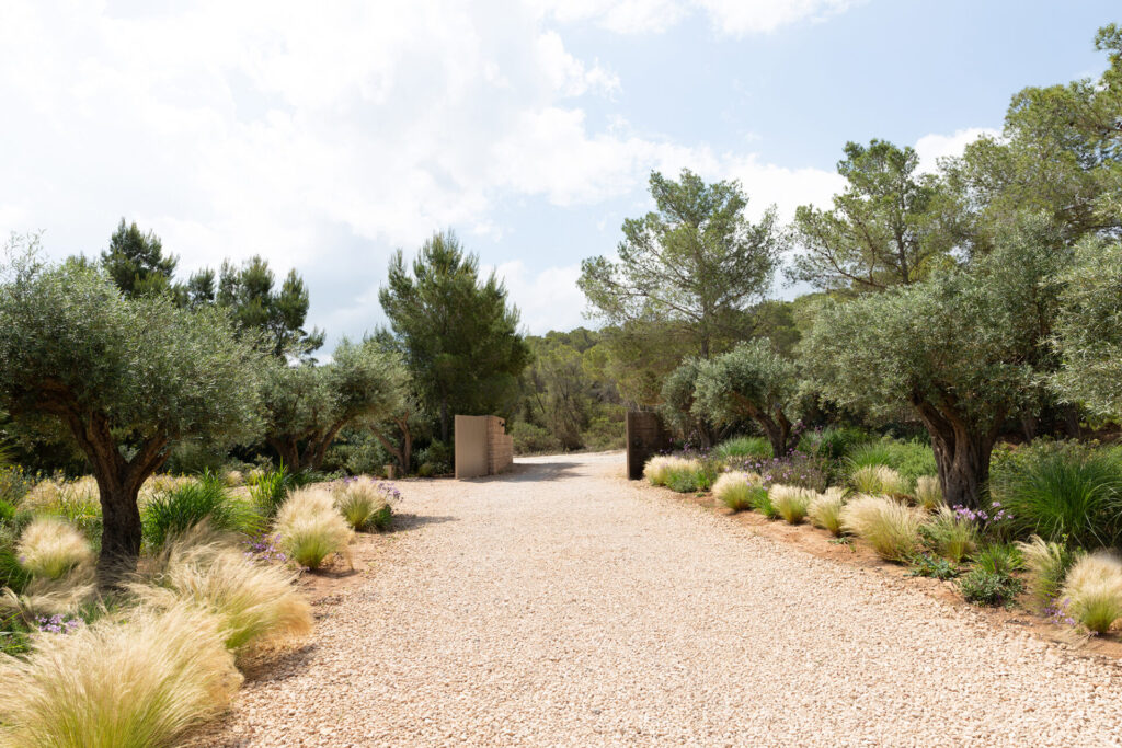 Terravita Ibiza Garden Design Can Starla 13