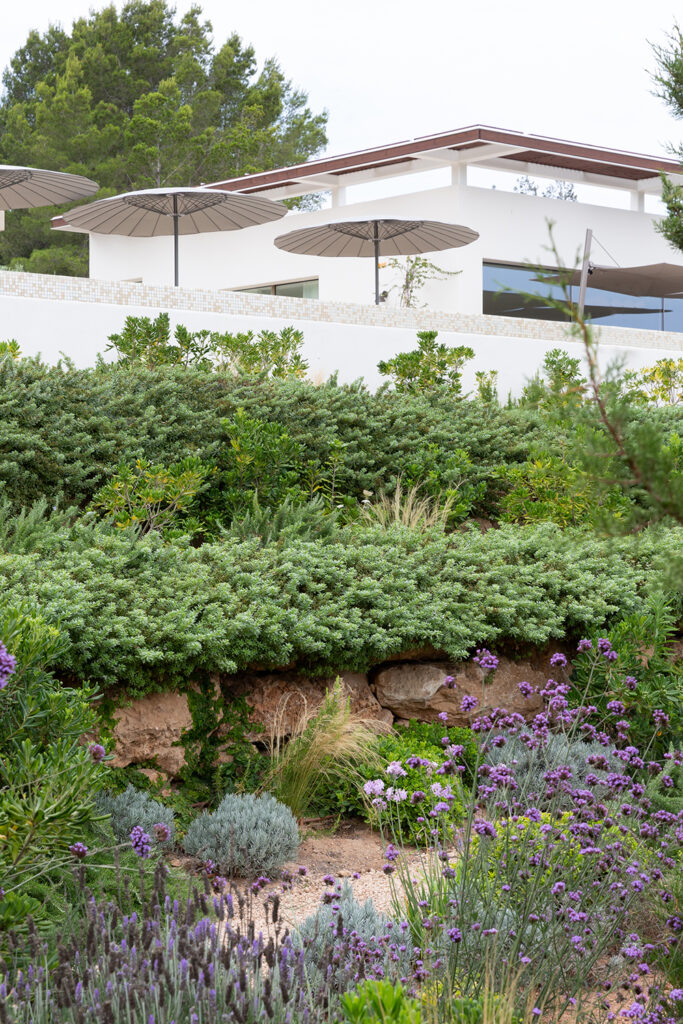Terravita Ibiza Garden Design Can Starla 17