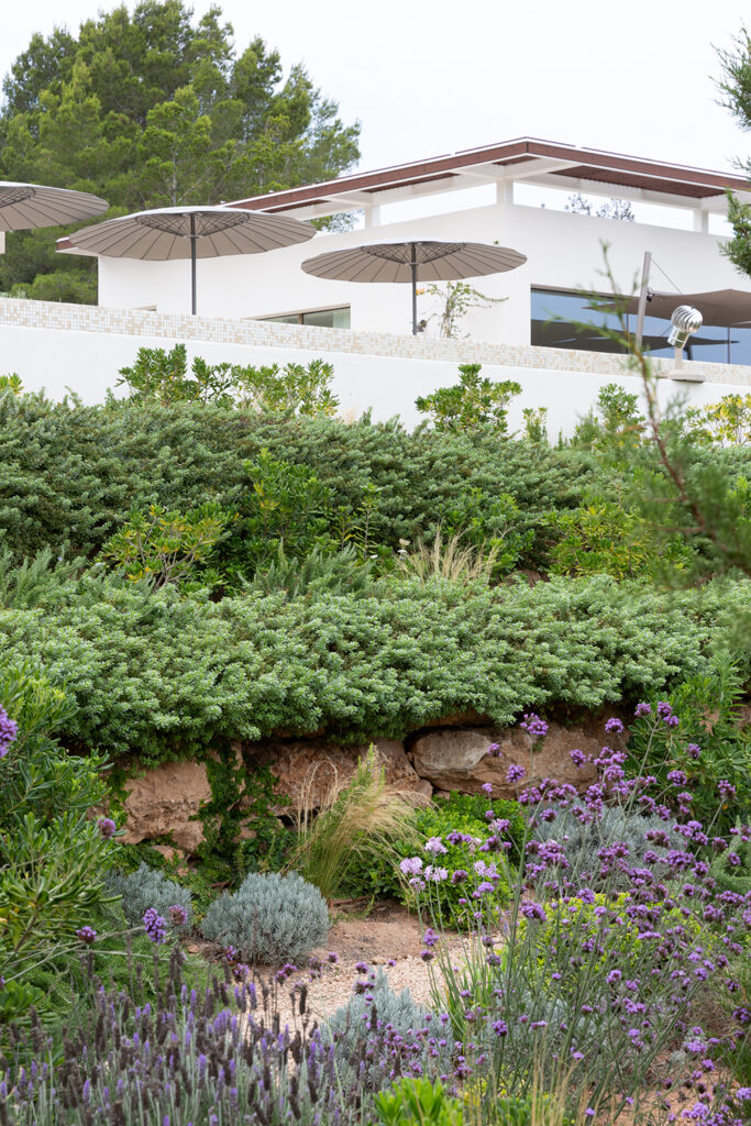 Terravita Ibiza Garden Design Can Starla 17