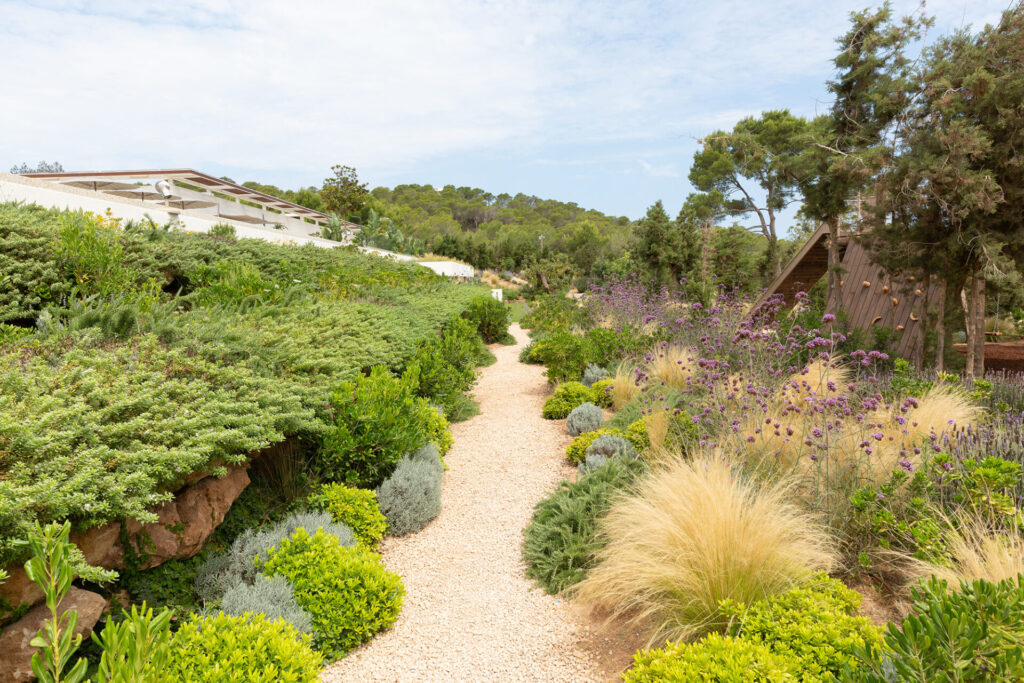 Terravita Ibiza Garden Design Can Starla 18