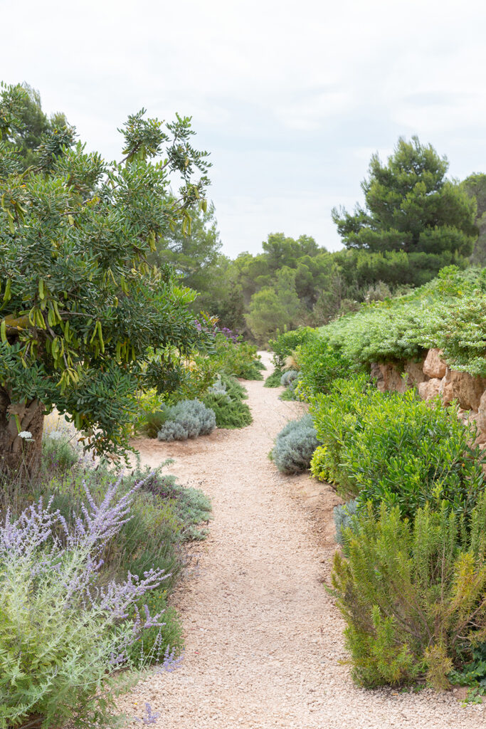 Terravita Ibiza Garden Design Can Starla 19