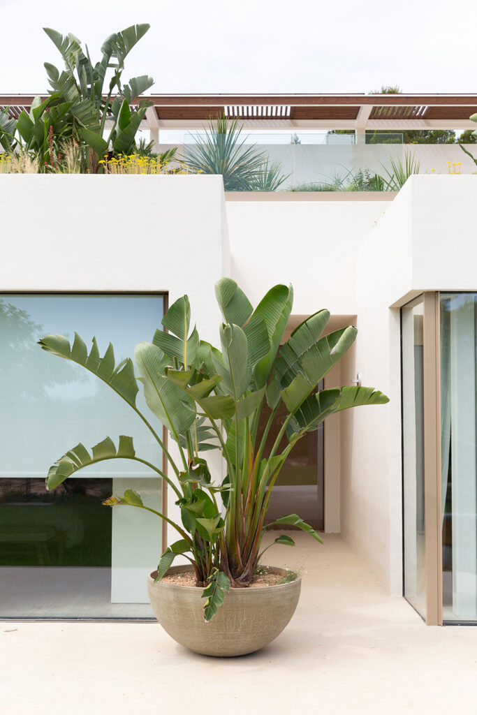 Terravita Ibiza Garden Design Can Starla 20