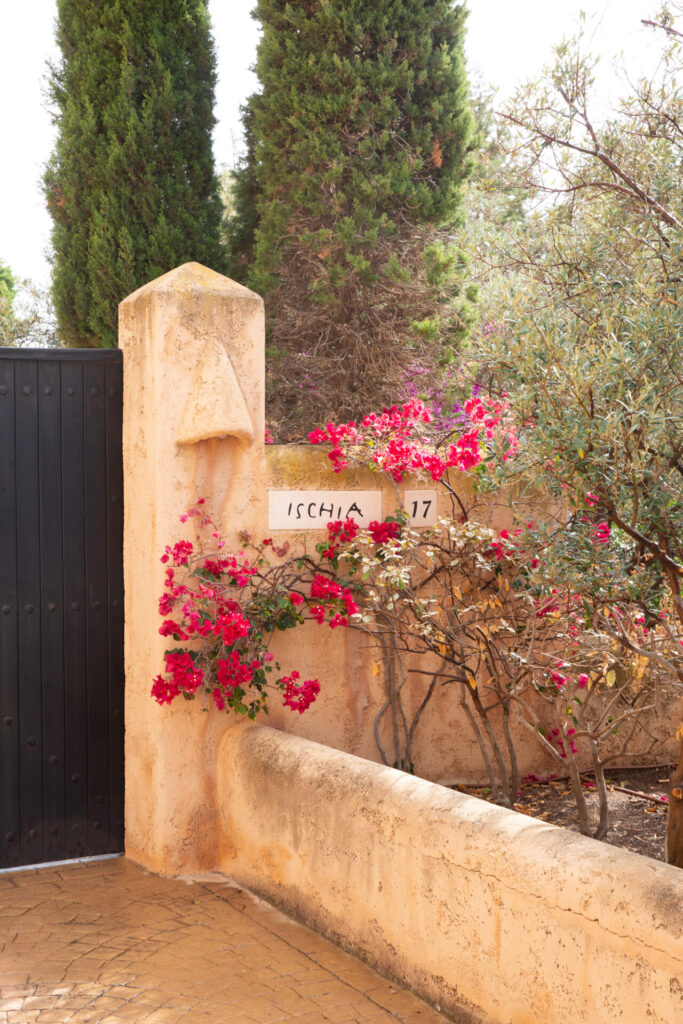 Terravita Ibiza Garden Design Ischia 001