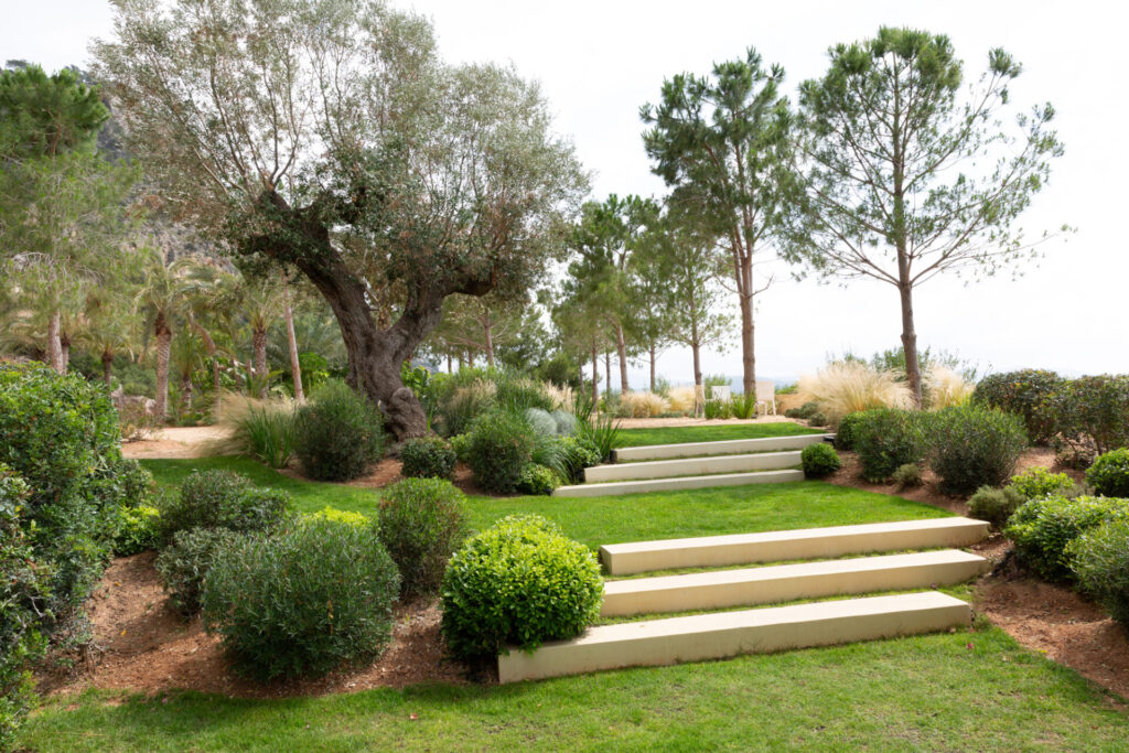 Terravita Ibiza Garden Design Ischia 009