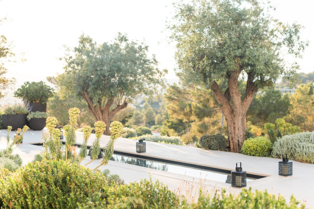 Terravita Ibiza Luxury Garden Design 024