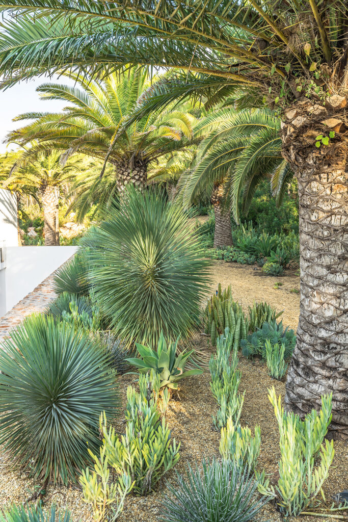 Terravita Ibiza Garden Designer 25