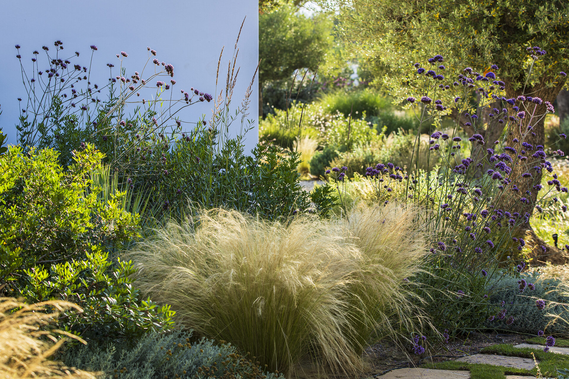 Terravita Ibiza Garden Design Naturalistic Planting Can Antoinette ©ClaireTakacs2024 MG 1582