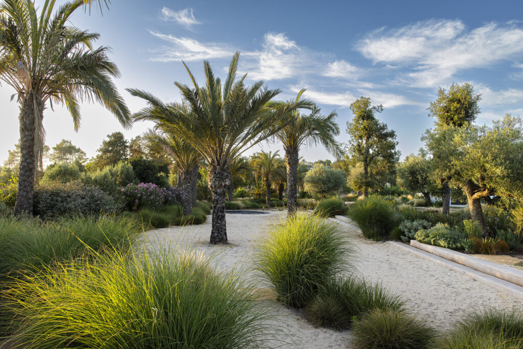 Terravita Ibiza Garden Design Naturalistic Planting Can Antoinette ©ClaireTakacs2024 MG 1804