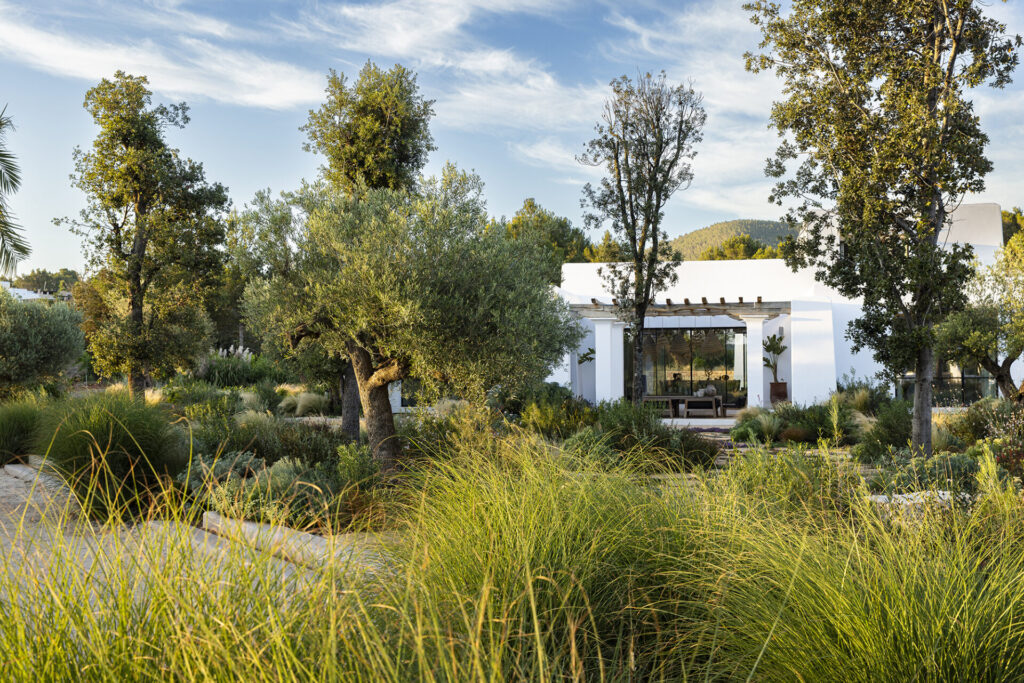 Terravita Ibiza Garden Design Naturalistic Planting Can Antoinette ©ClaireTakacs2024 MG 1805