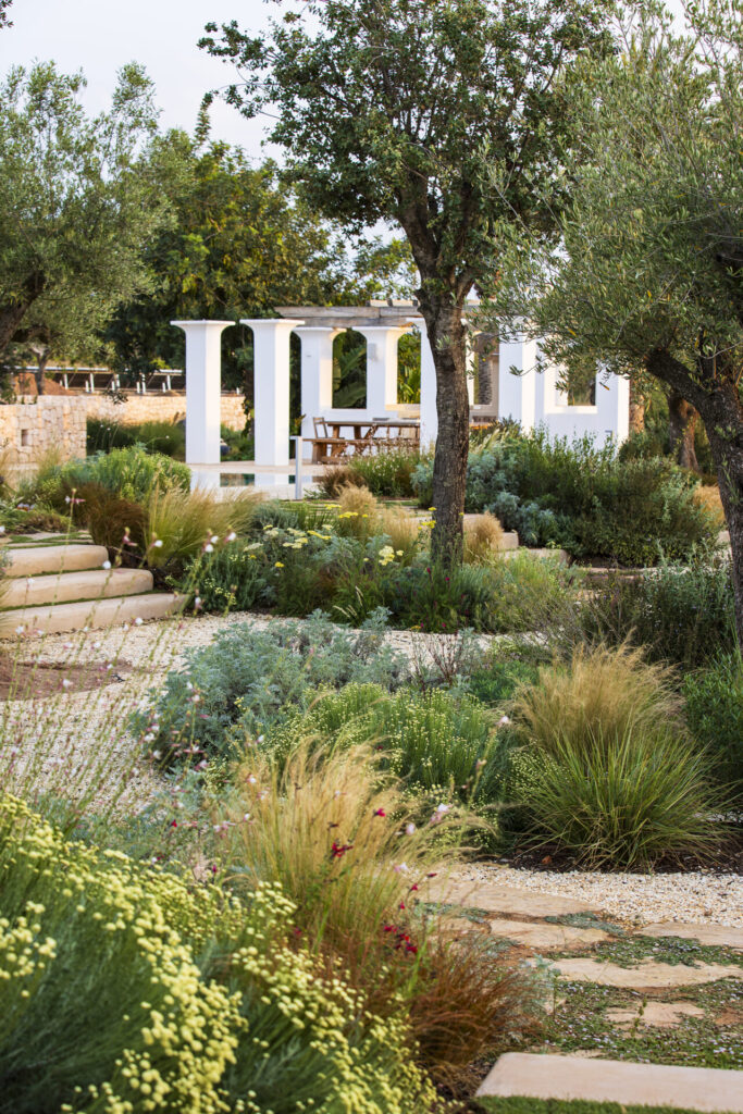 Terravita Ibiza Garden Design Naturalistic Planting Can Antoinette MG 1528 ©ClaireTakacs2024. All Rights Reserved