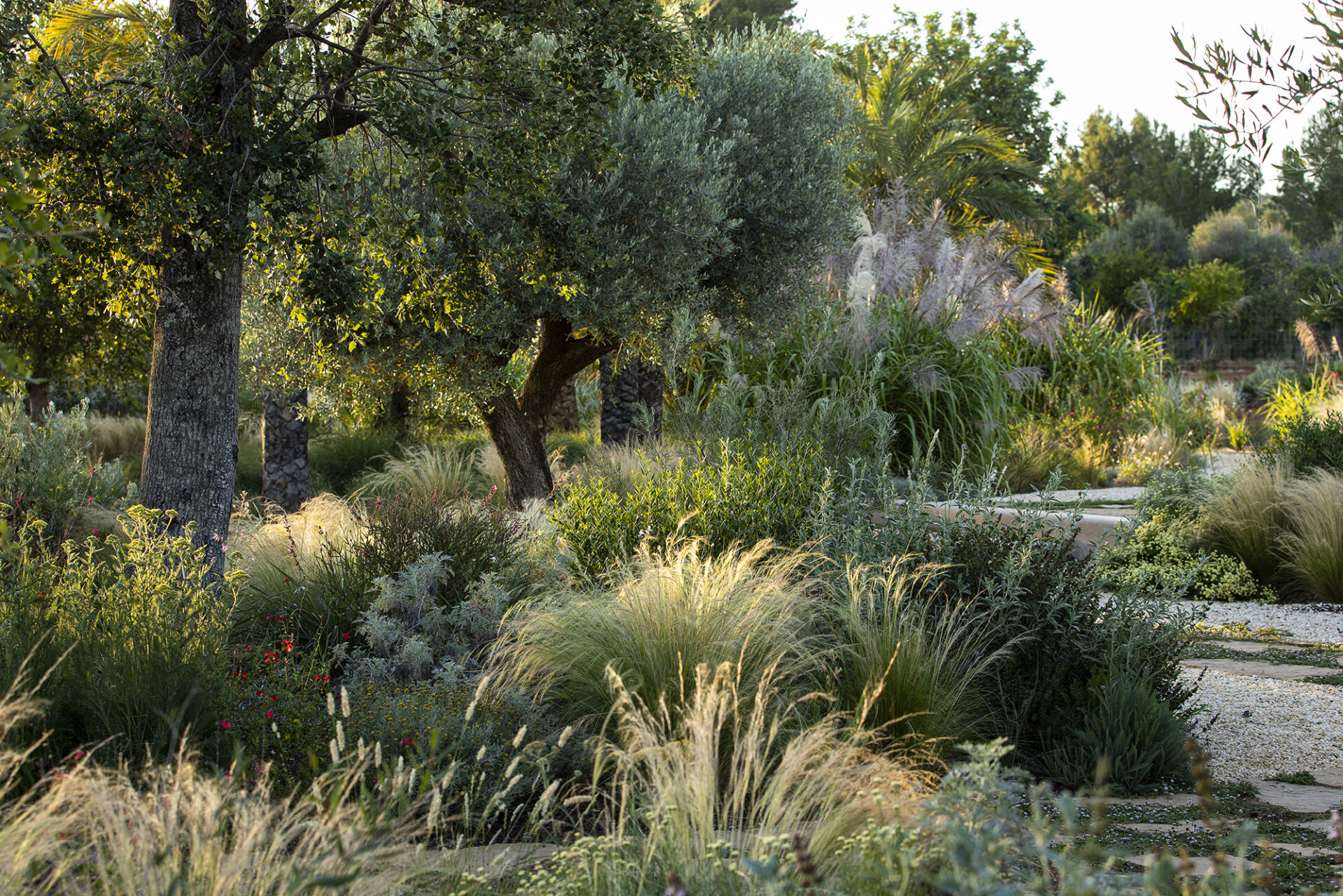 Terravita Ibiza Garden Design Naturalistic Planting Can Antoinette MG 1793 ©ClaireTakacs2024. All Rights Reserved