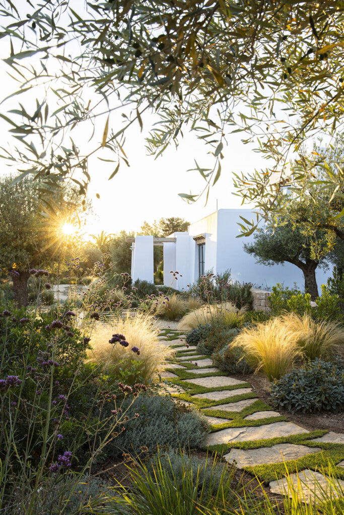 Terravita Ibiza Garden Design Naturalistic Planting Can Antoinette MG 1829 ©ClaireTakacs2024. All Rights Reserved